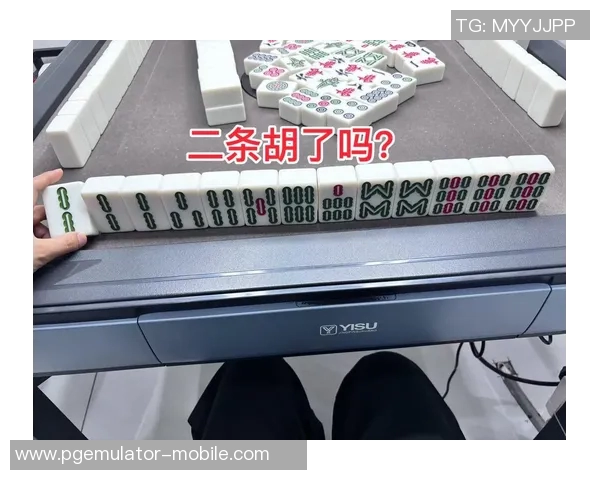 麻将胡了破解软件-麻将胡了破解软件，揭示与探讨-麻将胡了破解软件